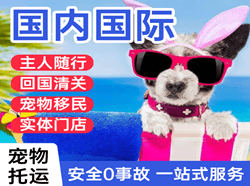 北海航空物流国际宠物托运 【国